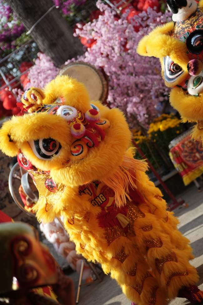 Khai bút đầu xuân và lễ Giao Thừa mừng Xuân Bính Ngọ 2026 - Chùa Hoằng Pháp