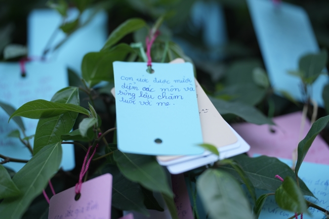 Tặng lộc đầu Xuân - Mồng 2 Tết Bính Ngọ 2026