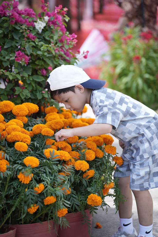 Tặng lộc đầu Xuân - Mồng 2 Tết Bính Ngọ 2026