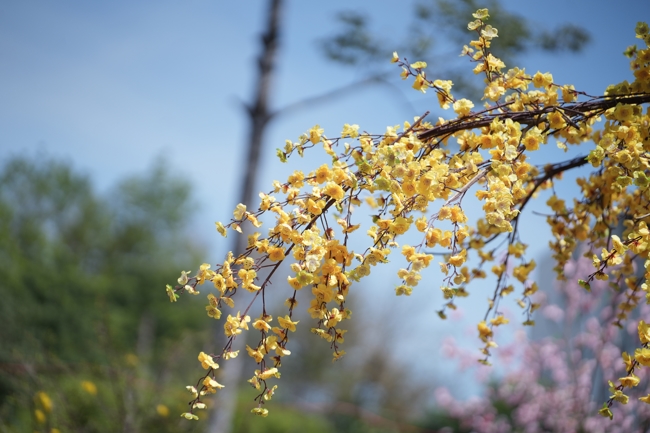 Tặng lộc đầu Xuân - Mồng 2 Tết Bính Ngọ 2026