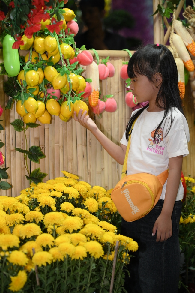 Tổng kết mùa Xuân Bính Ngọ 2026 | Chùa Hoằng Pháp