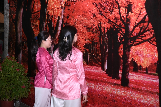 Tổng kết mùa Xuân Bính Ngọ 2026 | Chùa Hoằng Pháp