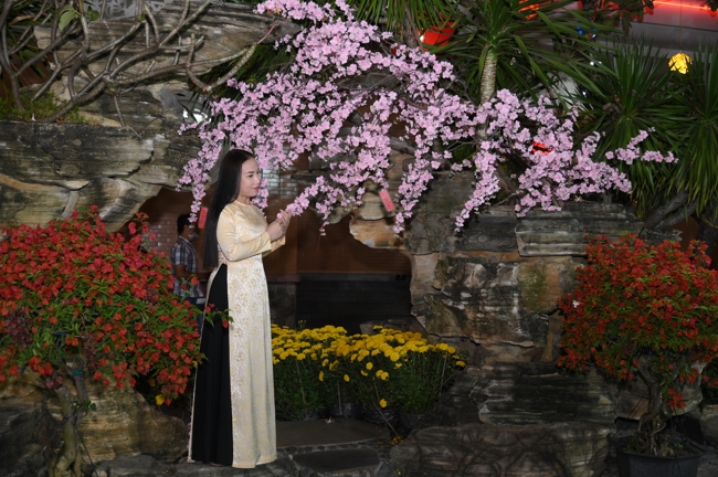 Tổng kết mùa Xuân Bính Ngọ 2026 | Chùa Hoằng Pháp