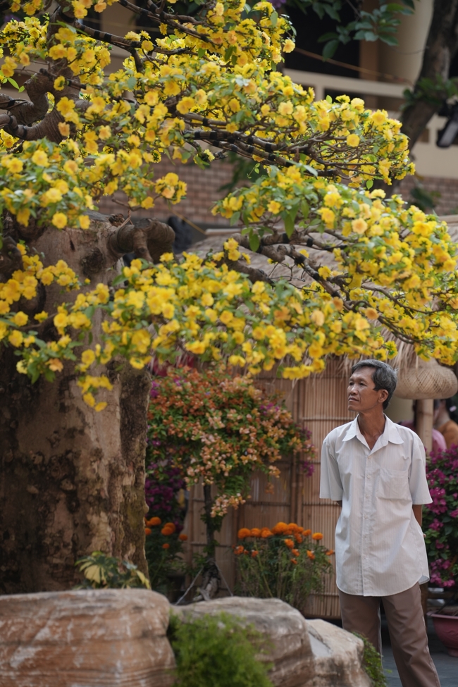 Tổng kết mùa Xuân Bính Ngọ 2026 | Chùa Hoằng Pháp