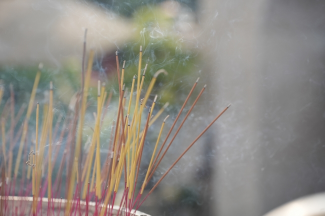 Tổng kết mùa Xuân Bính Ngọ 2026 | Chùa Hoằng Pháp