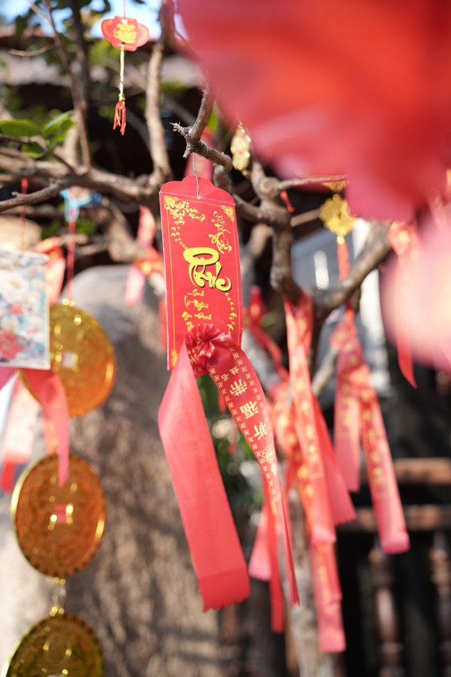 Tổng kết mùa Xuân Bính Ngọ 2026 | Chùa Hoằng Pháp