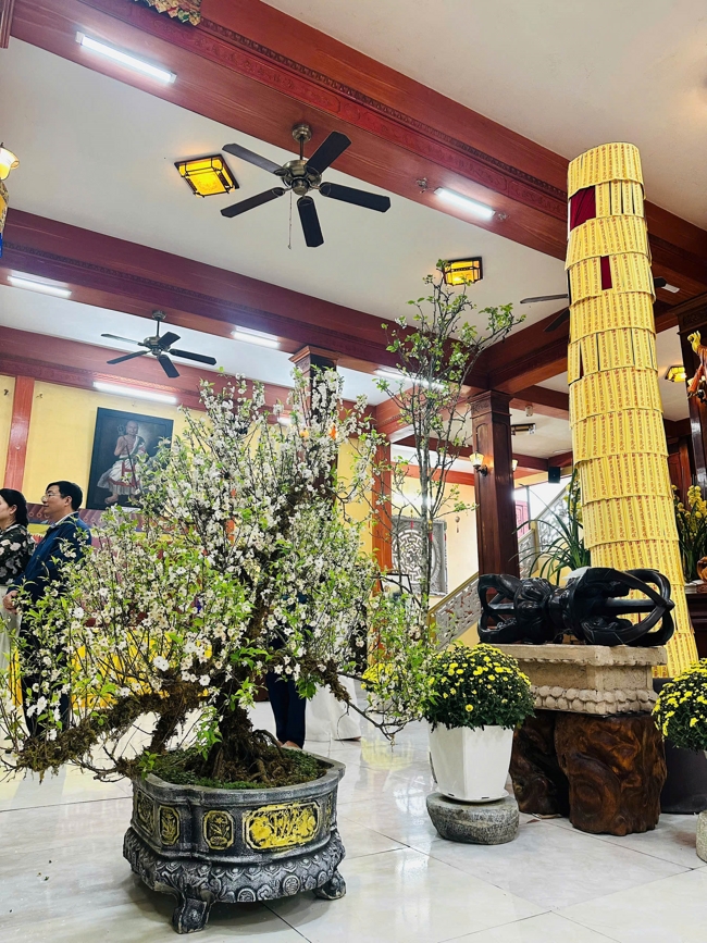 Chùa Đống Cao - Thanh Hóa: Hành hương thập tự Xuân Bính Ngọ 2026.