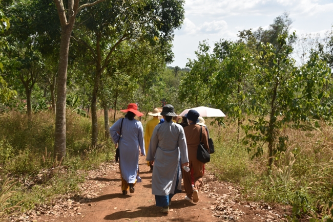 Hành Hương Thập Tự Đầu Năm Bính Ngọ 2026.
