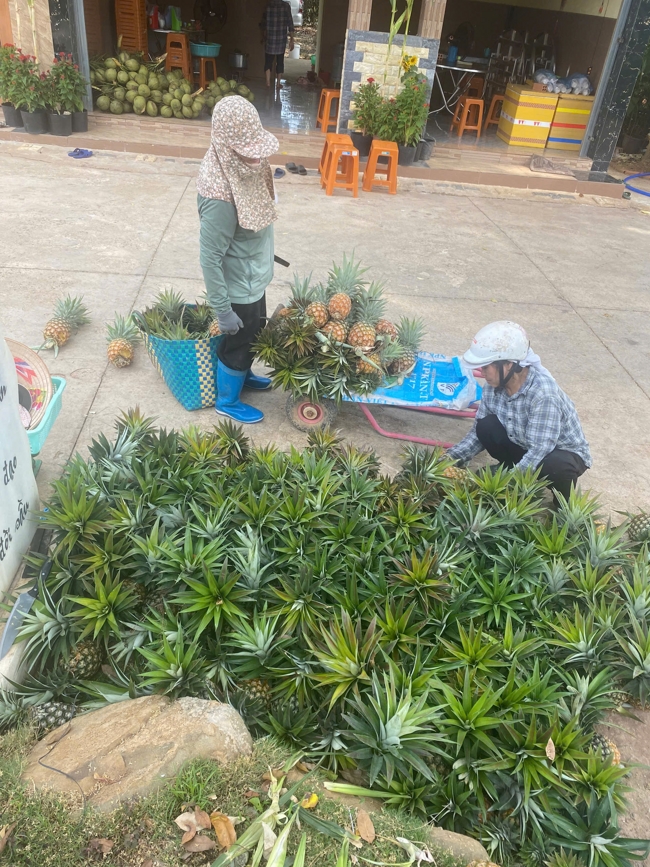 Chùa Suối Pháp - Tây Ninh: Lễ cầu an và thắp nến cầu nguyện đầu Xuân Bính Ngọ 2026.