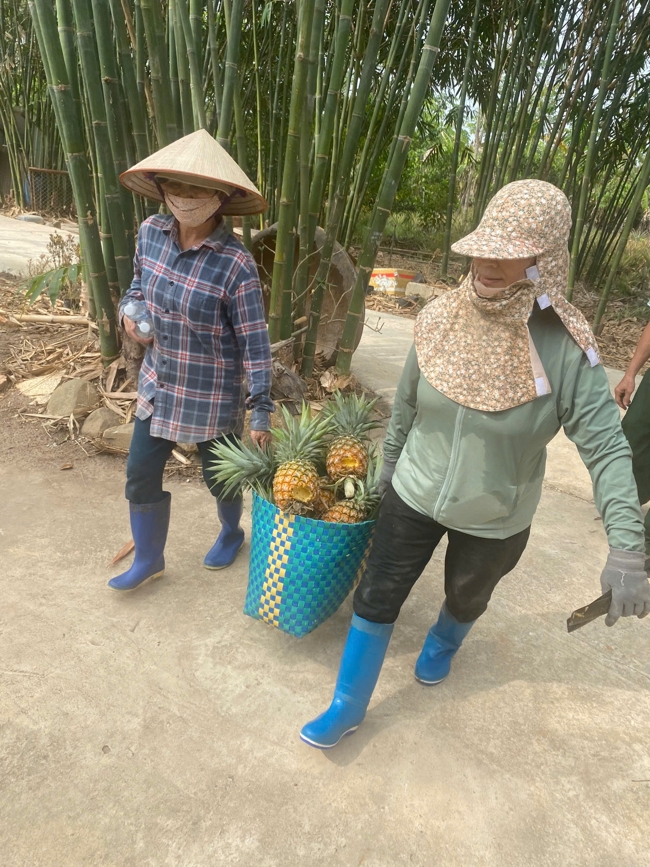 Chùa Suối Pháp - Tây Ninh: Lễ cầu an và thắp nến cầu nguyện đầu Xuân Bính Ngọ 2026.