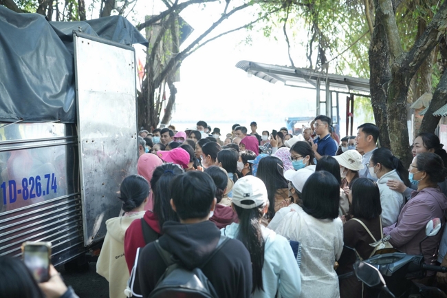 Phóng sinh tại bến phà Bình Mỹ