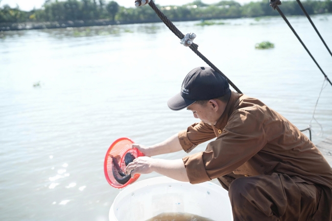 Phóng sinh tại bến phà Bình Mỹ