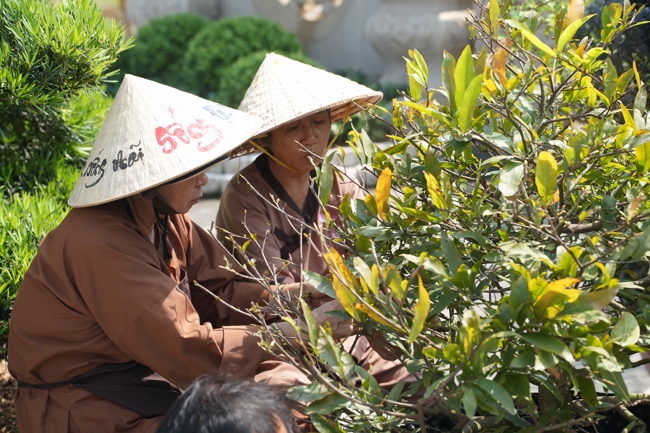 Công tác chuẩn bị đón xuân Bính Ngọ 2026 (Phần 1).
