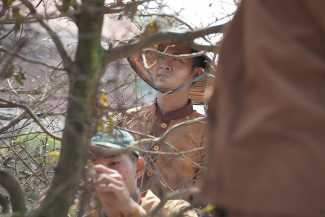 Công tác chuẩn bị đón xuân Bính Ngọ 2026 (Phần 1).