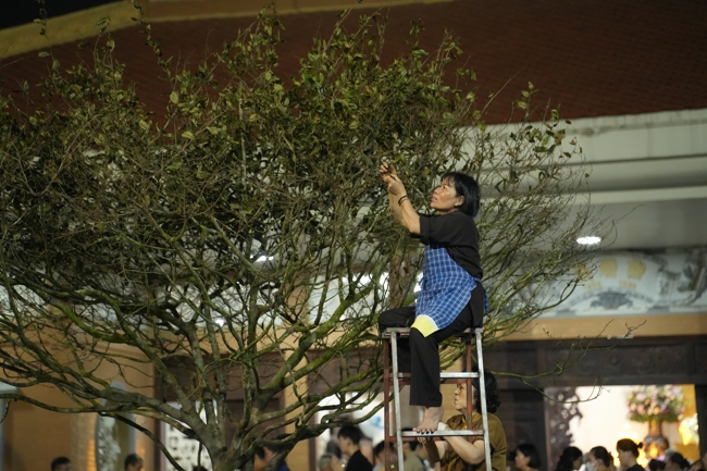 Công tác chuẩn bị đón xuân Bính Ngọ 2026 (Phần 1).