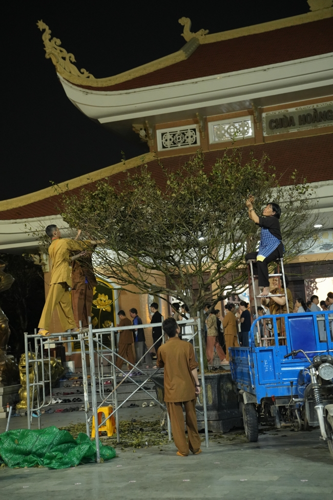 Công tác chuẩn bị đón xuân Bính Ngọ 2026 (Phần 1).