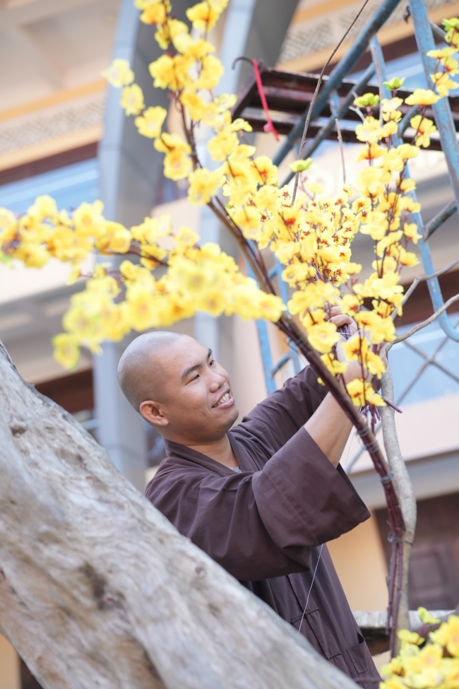 Công tác chuẩn bị đón xuân Bính Ngọ 2026 (Phần 1).