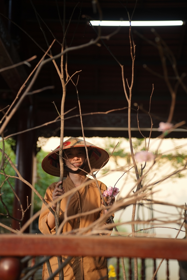 Công tác chuẩn bị đón xuân Bính Ngọ 2026 (Phần 1).