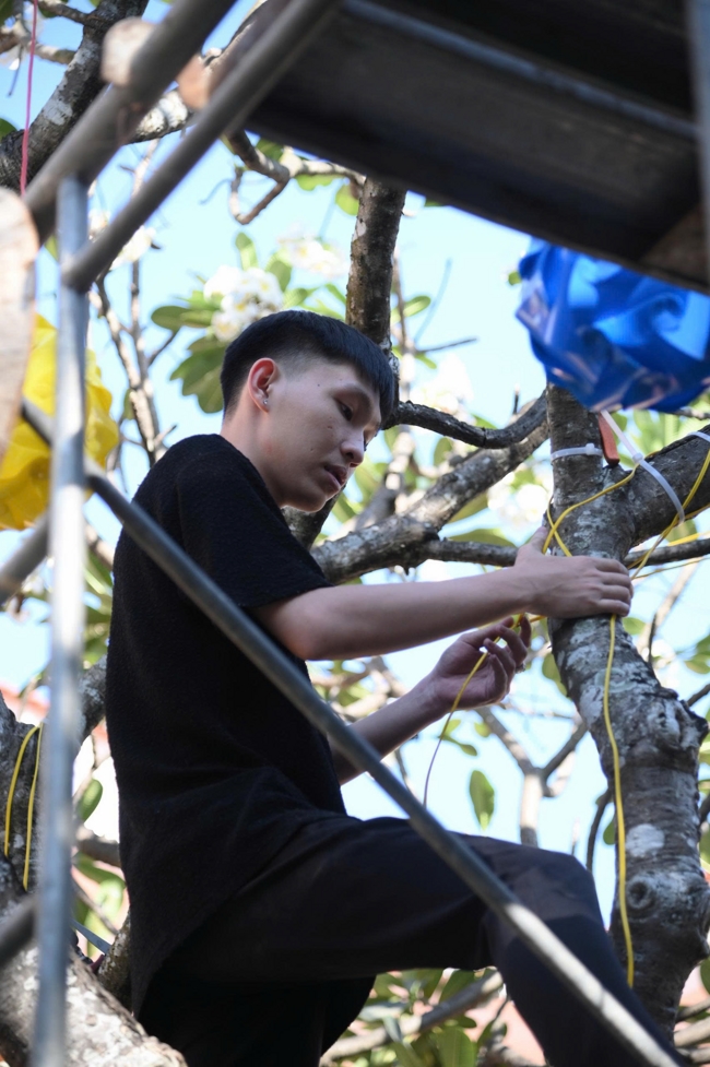 Công tác chuẩn bị đón xuân Bính Ngọ 2026 (Phần 1).