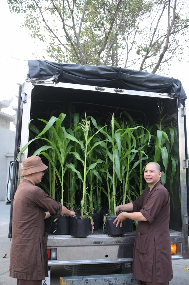 Công tác chuẩn bị đón Xuân Bính Ngọ 2026 (Phần 2)