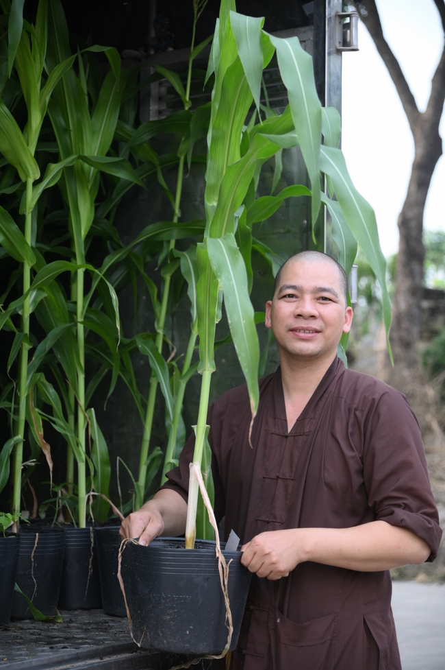 Công tác chuẩn bị đón Xuân Bính Ngọ 2026 (Phần 2)