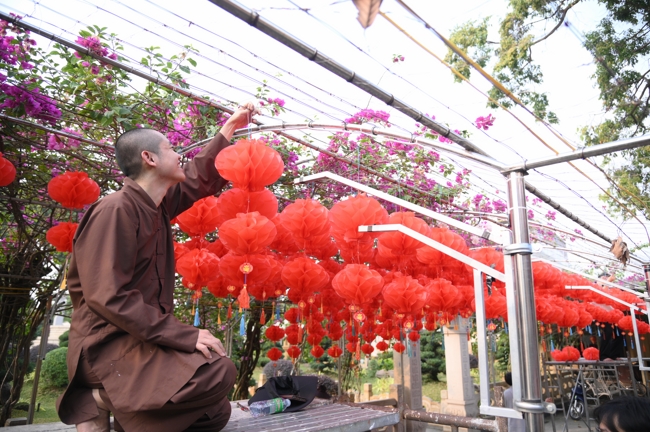 Công tác chuẩn bị đón Xuân Bính Ngọ 2026 (Phần 2)