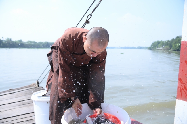 Phóng sinh tại bến phà Bình Mỹ