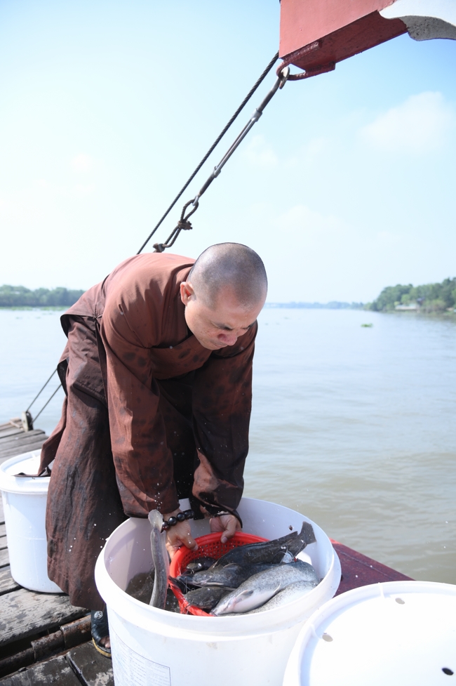 Phóng sinh tại bến phà Bình Mỹ