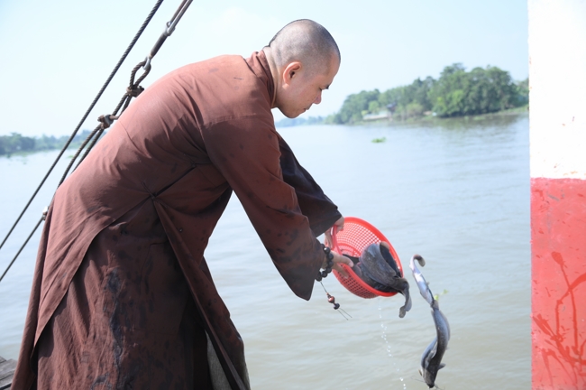 Phóng sinh tại bến phà Bình Mỹ