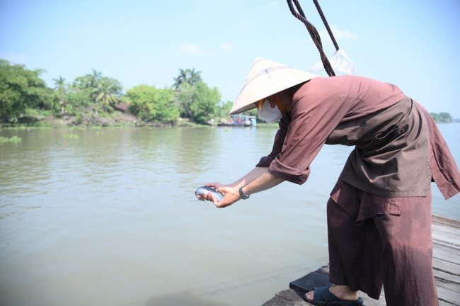 Phóng sinh tại bến phà Bình Mỹ