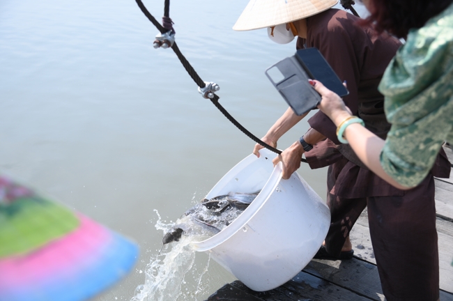 Phóng sinh tại bến phà Bình Mỹ