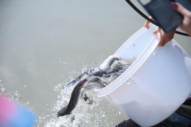 Phóng sinh tại bến phà Bình Mỹ