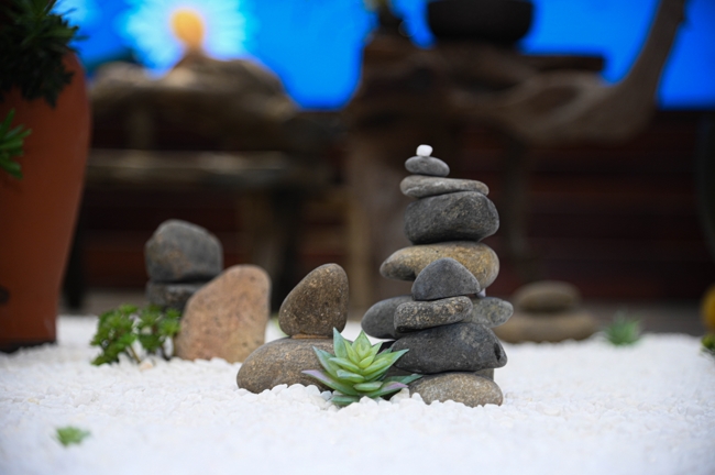 Đêm thiền trà - Khóa tu sinh viên “Hướng về Phật pháp.