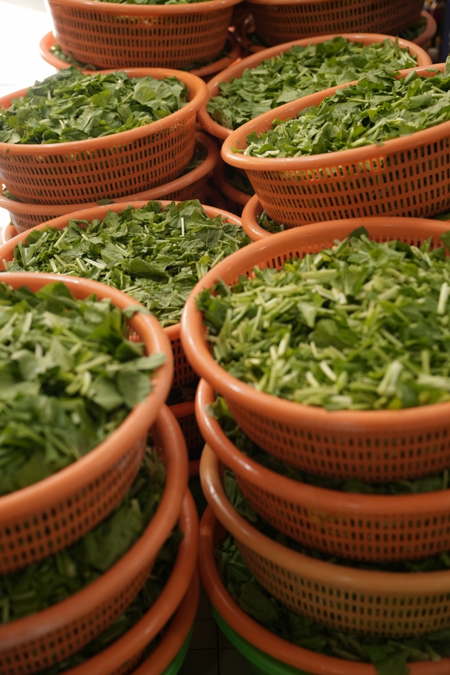 Khoá tu sinh viên Hướng về Phật pháp.