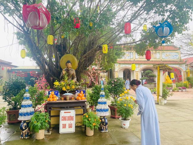 Chùa Đống Cao - Thanh Hóa: Đại lễ cầu an và mừng thọ đầu năm Bính Ngọ 2026.