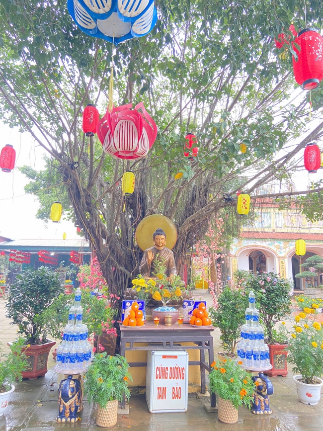 Chùa Đống Cao - Thanh Hóa: Đại lễ cầu an và mừng thọ đầu năm Bính Ngọ 2026.