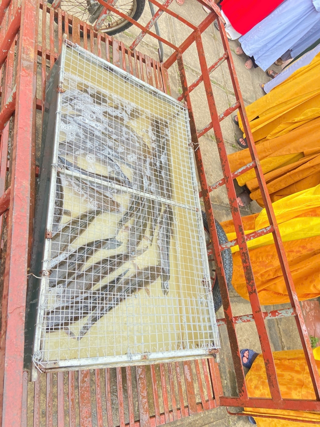 Chùa Đống Cao - Thanh Hóa: Đại lễ cầu an và mừng thọ đầu năm Bính Ngọ 2026.