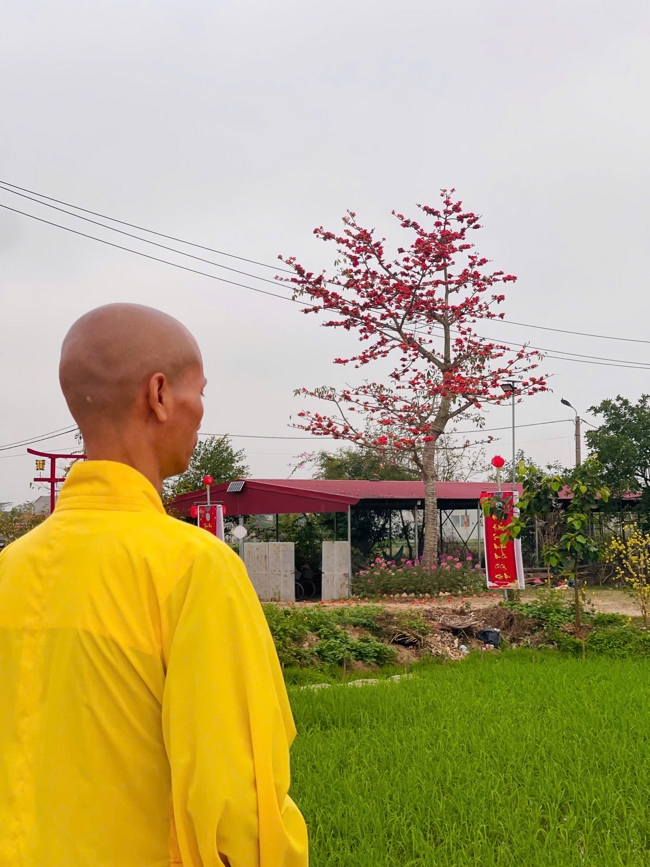 CHÙA ĐỐNG CAO - THANH HOÁ: KHAI KHOÁ TU NIỆM PHẬT MỘT NGÀY ĐẦU NĂM BÍNH NGỌ.