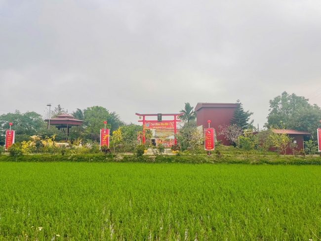 CHÙA ĐỐNG CAO - THANH HOÁ: KHAI KHOÁ TU NIỆM PHẬT MỘT NGÀY ĐẦU NĂM BÍNH NGỌ.