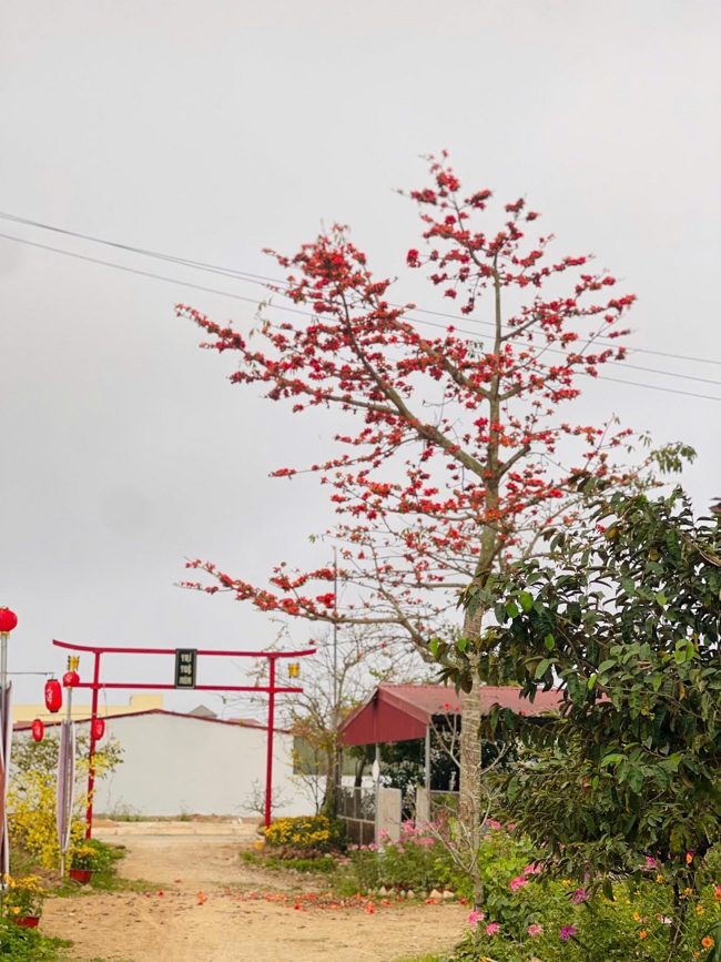 CHÙA ĐỐNG CAO - THANH HOÁ: KHAI KHOÁ TU NIỆM PHẬT MỘT NGÀY ĐẦU NĂM BÍNH NGỌ.