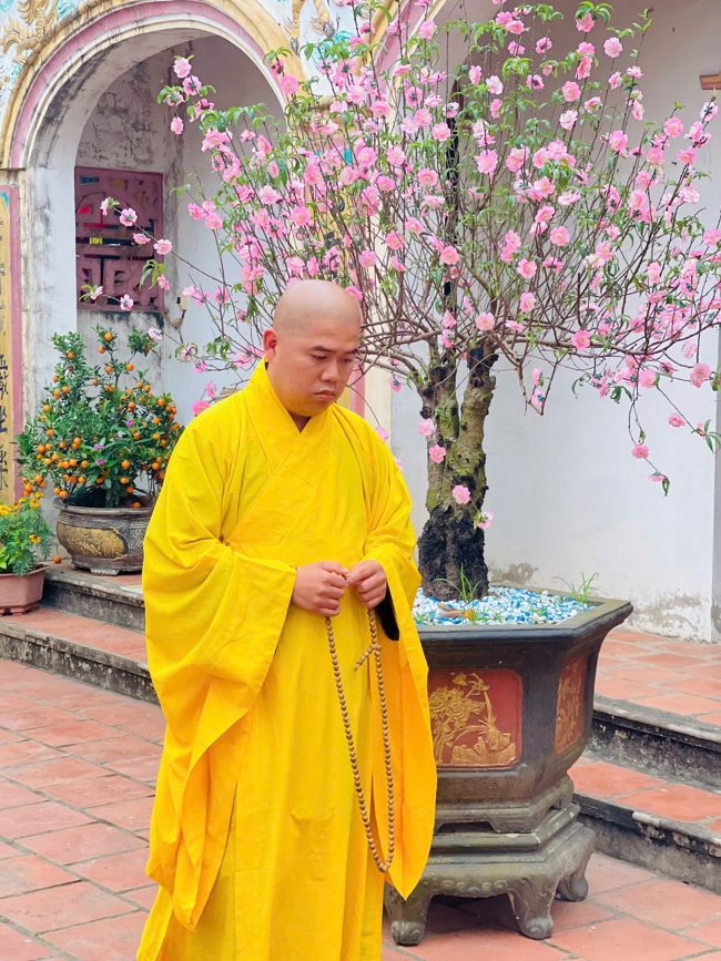 CHÙA ĐỐNG CAO - THANH HOÁ: KHAI KHOÁ TU NIỆM PHẬT MỘT NGÀY ĐẦU NĂM BÍNH NGỌ.