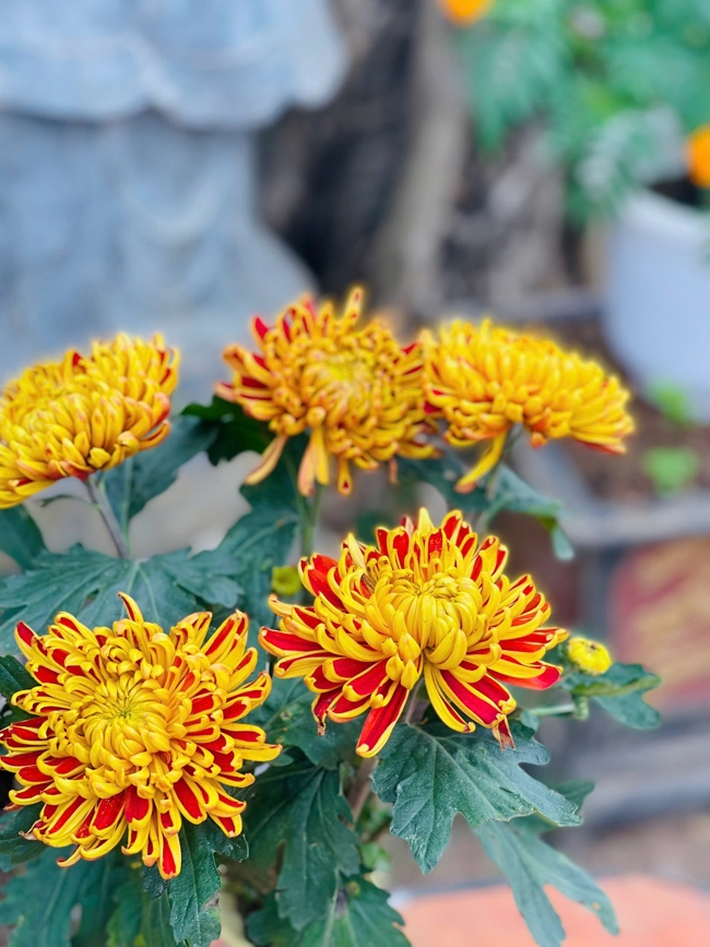 CHÙA ĐỐNG CAO - THANH HOÁ: KHAI KHOÁ TU NIỆM PHẬT MỘT NGÀY ĐẦU NĂM BÍNH NGỌ.