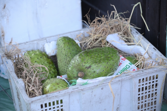 Chương trình từ thiện “Phương tiện nghĩa tình”.