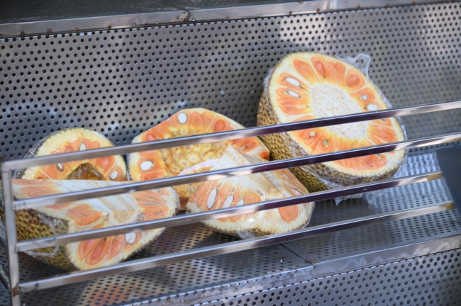 Chương trình từ thiện “Phương tiện nghĩa tình”.