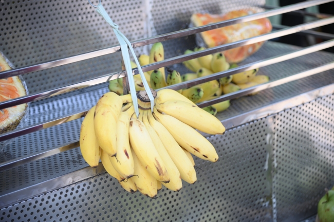 Chương trình từ thiện “Phương tiện nghĩa tình”.