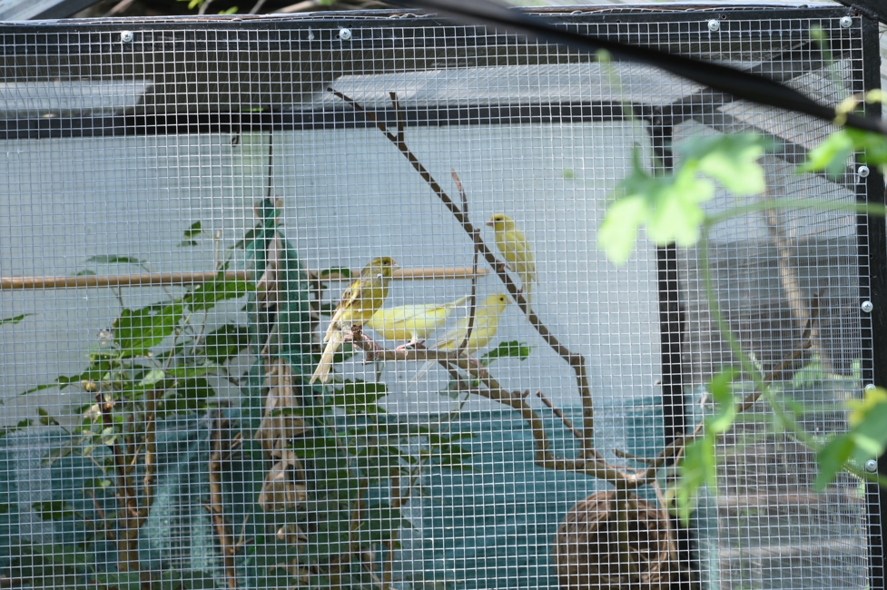 Chương trình từ thiện “Phương tiện nghĩa tình”.