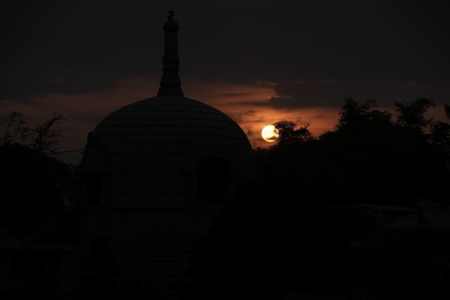 Khóa tu sinh viên “Hướng về Phật pháp”.