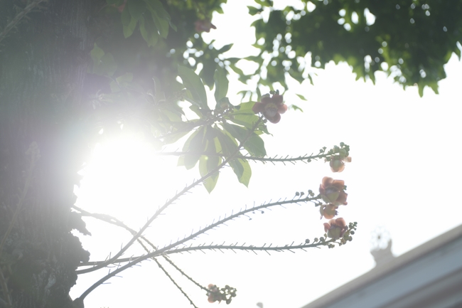 Khóa tu sinh viên “Hướng về Phật pháp”.