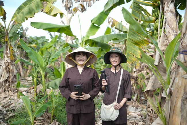 Chư Tăng và công quả nội tự chùa Hoằng Pháp cùng thu hoạch chuối cúng dường (Đồng Nai).