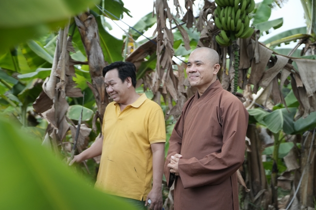 Chư Tăng và công quả nội tự chùa Hoằng Pháp cùng thu hoạch chuối cúng dường (Đồng Nai).